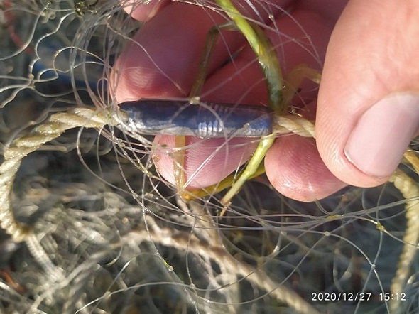 Рибпатруль на Дністрі знову виявив браконьєрське приладдя ФОТО