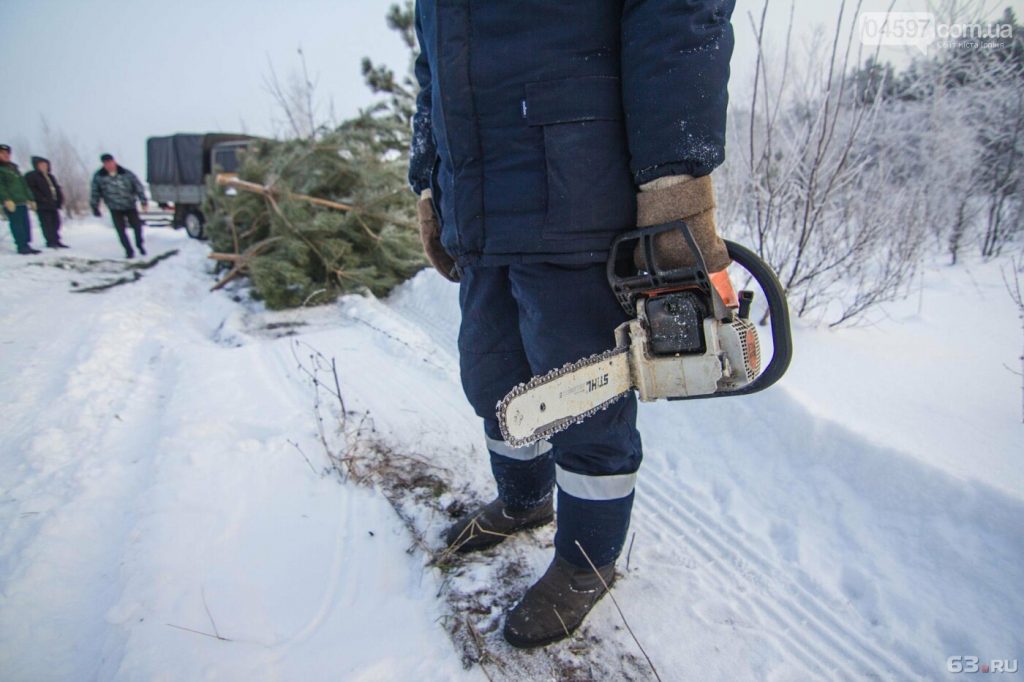 Екологічна інспекція перевіряє чи не вирубують в Карпатах «ліві» ялинки