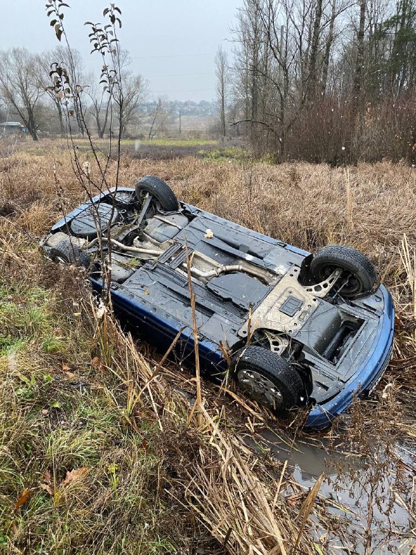 На Коломийщині авто «на бляхах» злетіло з дороги в кювет ФОТО