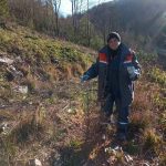 На Прикарпатті працівники лісового господарства захистили молоді дерева від диких тварин ФОТО