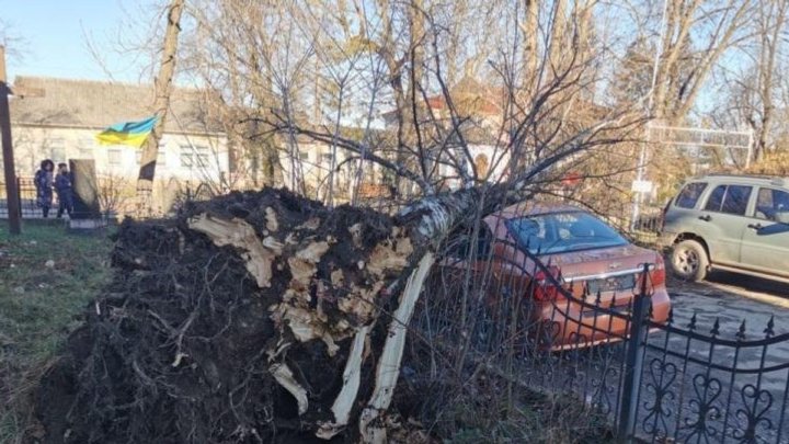 Повалені дерева, зірвані дахи та запинка: на Прикарпатті вирує негода ФОТО