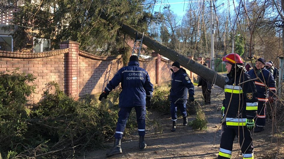 Повалені дерева, зірвані дахи та запинка: на Прикарпатті вирує негода ФОТО