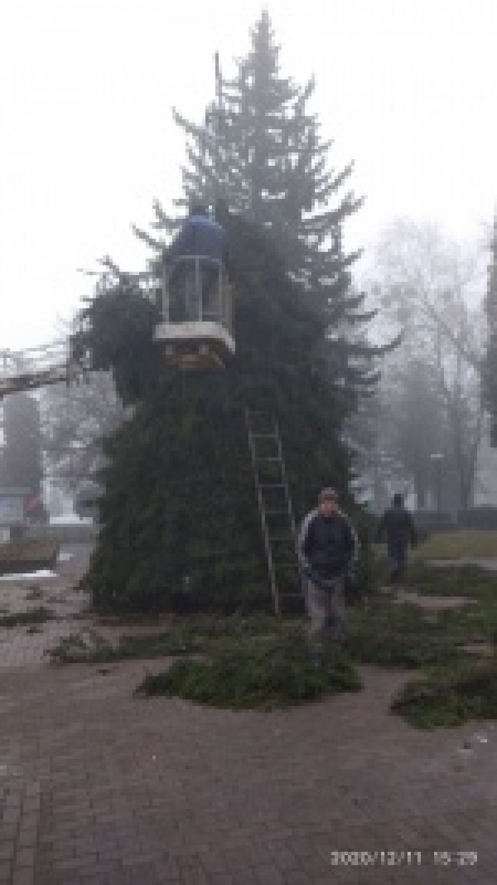 У Снятині розпочали встановлювати новорічну ялинку