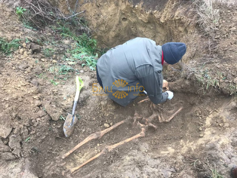 У покинутому прикарпатському селі виявили декілька людських останків ФОТО 16+