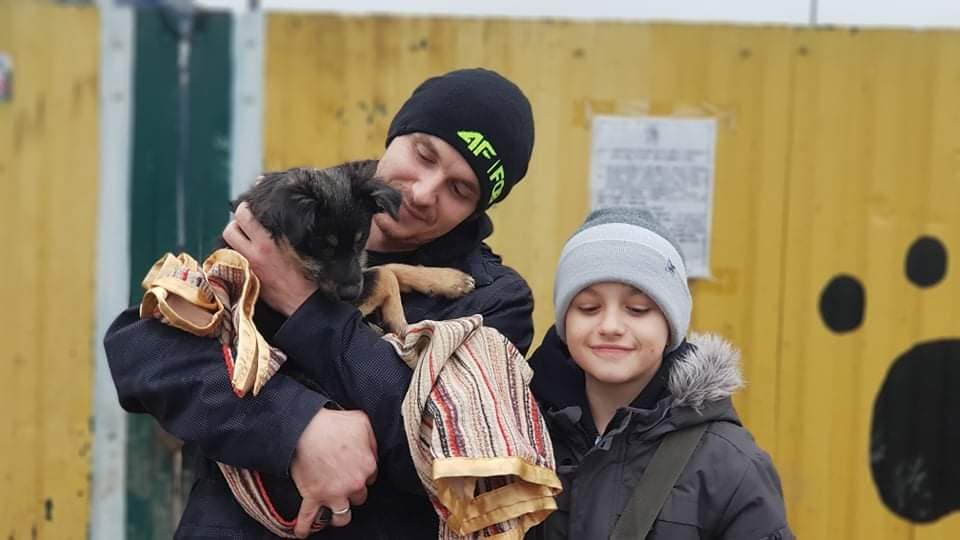 За 2020 рік ГО "Дім Сірка" прилаштувала 2 239 тварин