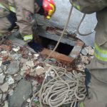 На Прикарпатті рятувальники врятували собаку