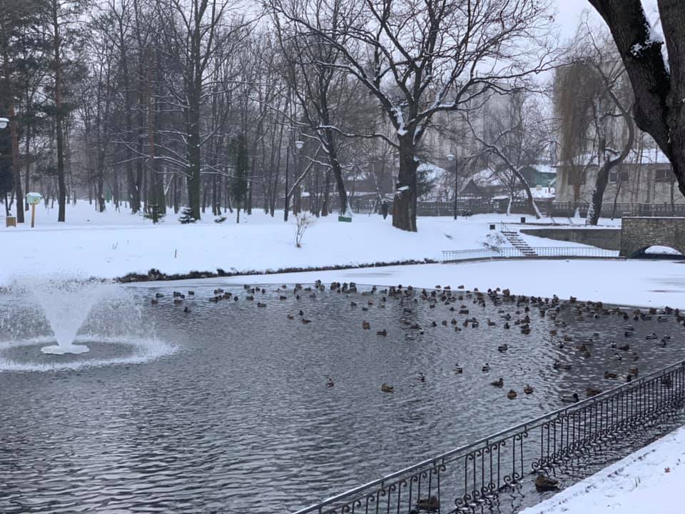 У франківському парку фонтан працюватиме всю зиму ФОТО