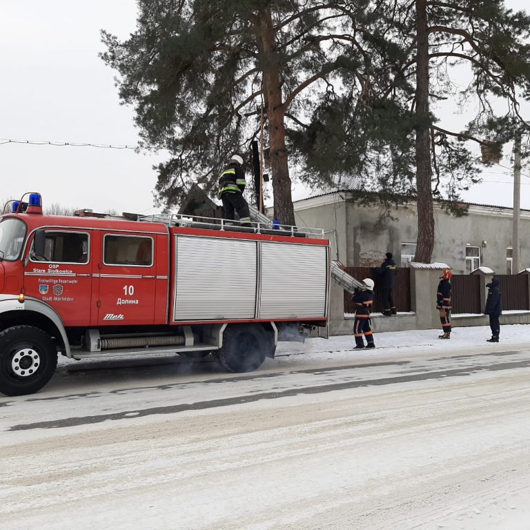 Прикарпатські надзвичайники врятували кота, який видерся на дерево та застряг ФОТО