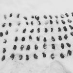 Більшість загинуло: у Франківську на мороз викинули червонокнижних кажанів