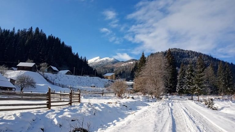 Неймовірні світлини зимових Карпат ФОТОРЕПОРТАЖ