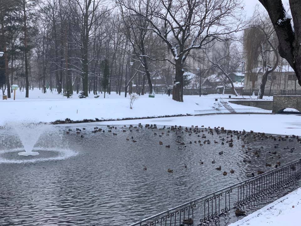 Заради качок аераційний фонтан у міському парку взимку працюватиме цілодобово ФОТО