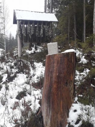 Прикарпатські єгеря підгодовують диких тварин у зимовий період ФОТО