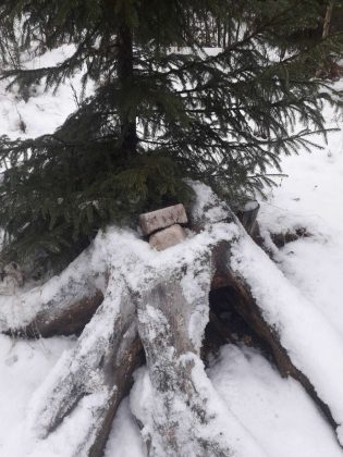 Прикарпатські єгеря підгодовують диких тварин у зимовий період ФОТО