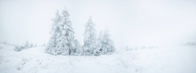 На високогір'ї Карпат панує справжня зима ФОТОРЕПОРТАЖ