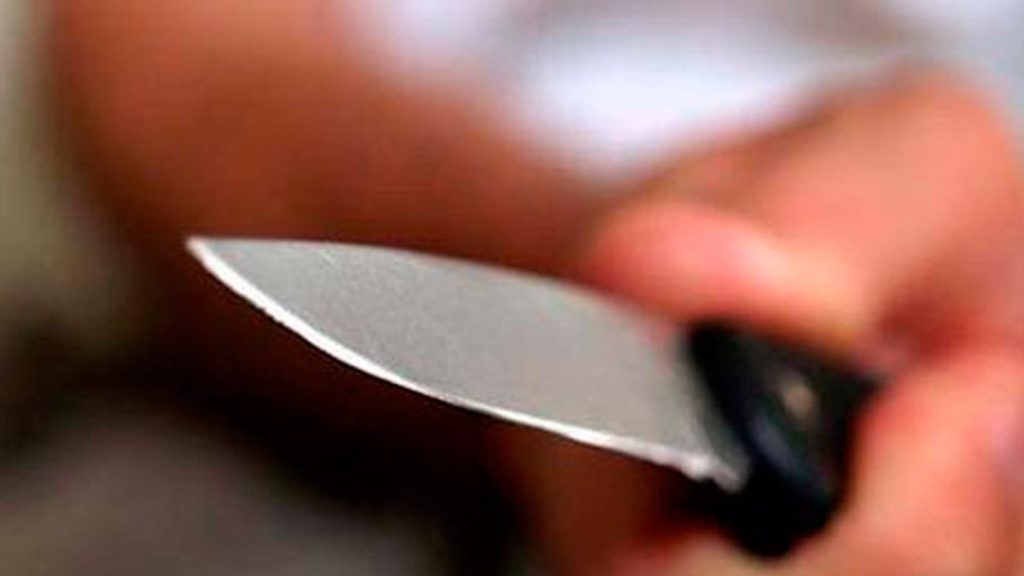 Чоловік, який вчинив п’яну різанину, сяде за ґрати на понад 2 роки