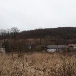 села