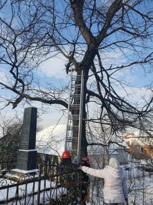 Прикарпатським надзвичайникам довелося рятувати кота ФОТОРЕПОРТАЖ