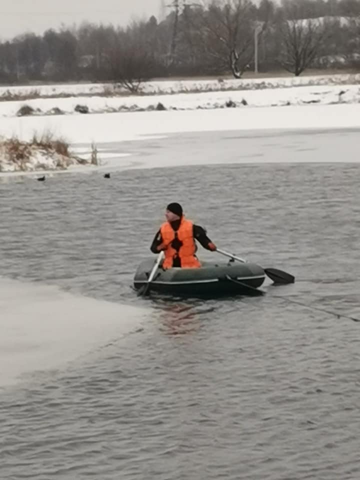 На калуському озері із криги рятували лебедів ФОТО