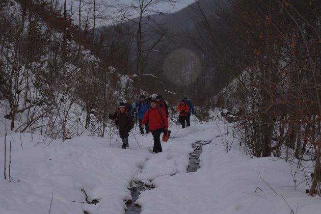 Понад пів сотні рятувальників і волонтерів другу добу поспіль шукають заблукалого в Карпатах туриста ФОТО та ВІДЕО