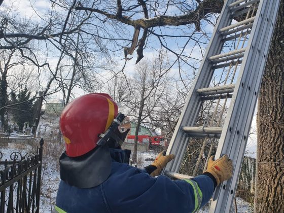 Прикарпатським надзвичайникам довелося рятувати кота ФОТОРЕПОРТАЖ