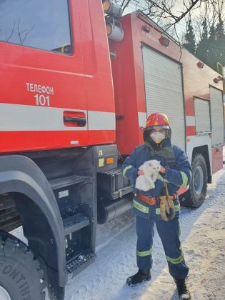 Прикарпатським надзвичайникам довелося рятувати кота ФОТОРЕПОРТАЖ