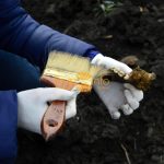 захоронення