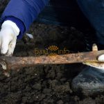 Людські кістки, ложки та окуляри: на Прикарпатті серед поля виявили невідоме захоронення ФОТОРЕПОРТАЖ