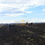 захоронення