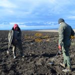 захоронення