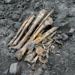 захоронення