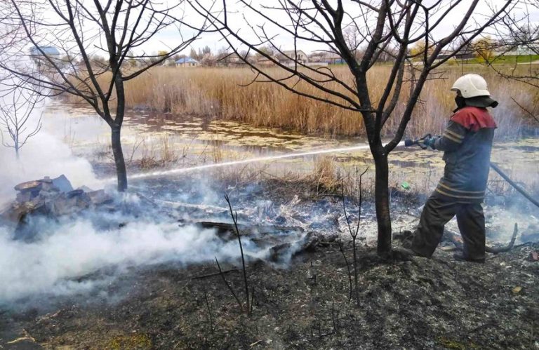 З потеплінням прикарпатські «ґазди» знову взялися за спалювання сухостою