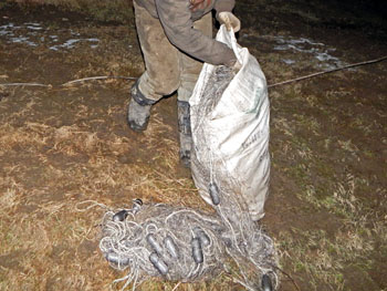 На Франківщині впіймали двох браконьєрів, які ловили рибу сіткою довжиною 70 метрів