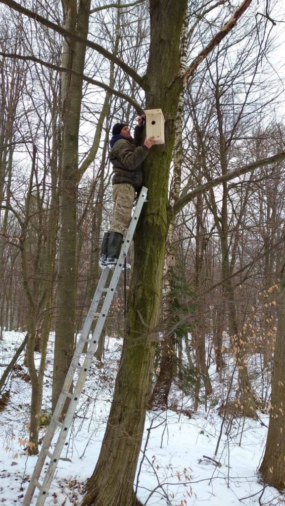 Прикарпатські лісники облаштовують будиночки для птахів ФОТО