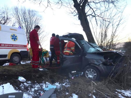 Прикарпатські поліцейські розслідують ДТП, у якій загинули водій та пасажир автомобіля ФОТО