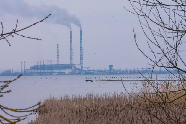 Рай для орнітолога: в мережу виклали фотографії найрізноманітнішого птаства, яке мешкає на Бурштинському водосховищі ФОТОРЕПОРТАЖ