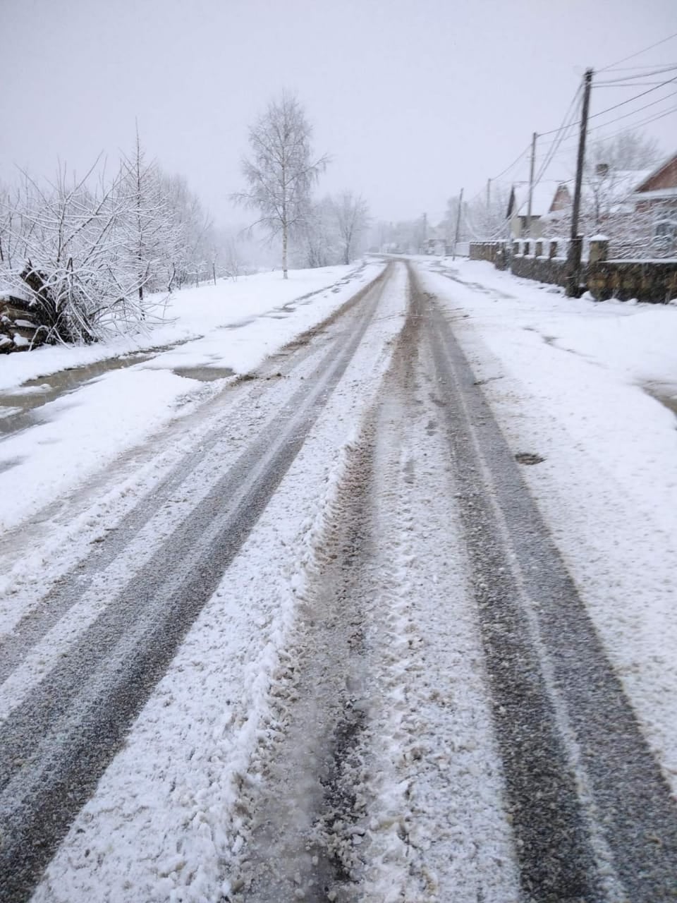 Зима повернулася: прикарпатські дороги вкрило снігом