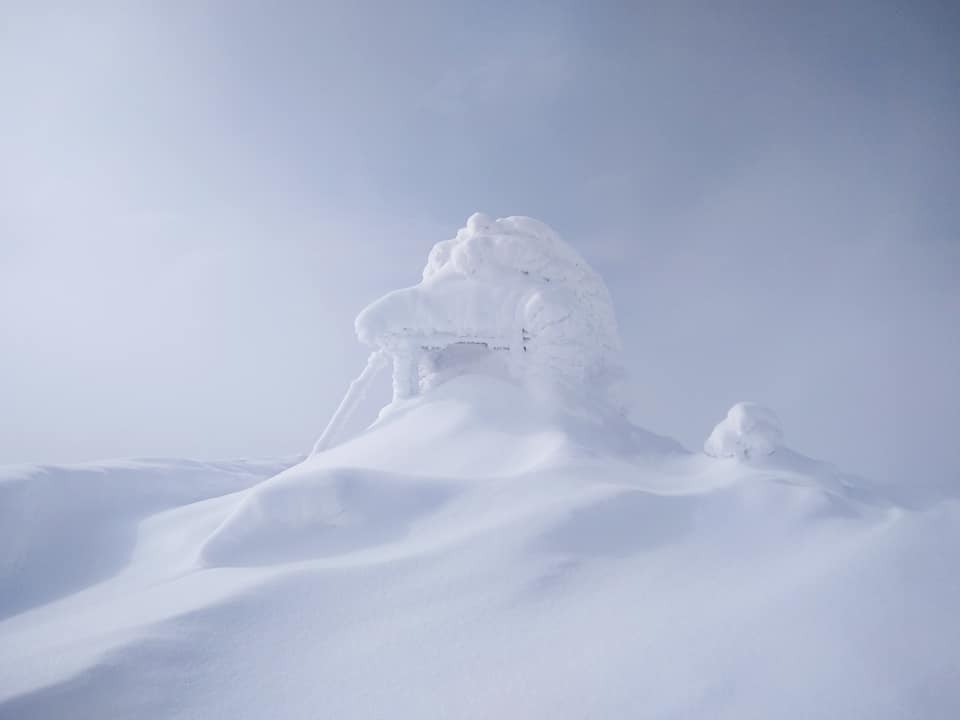 Карпат