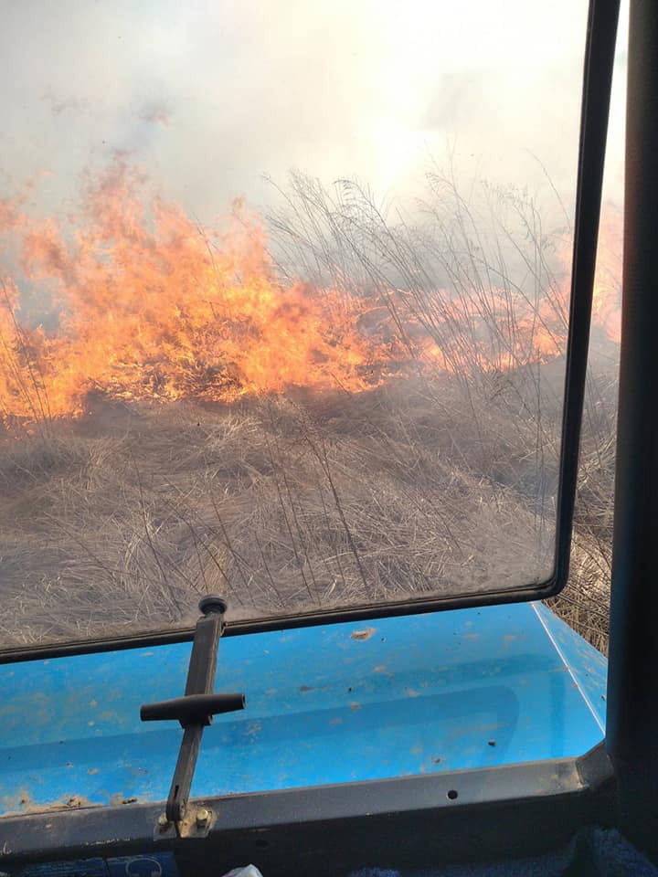 ліквідували