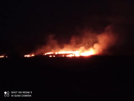 На Калущині масово спалюють суху траву ФОТО