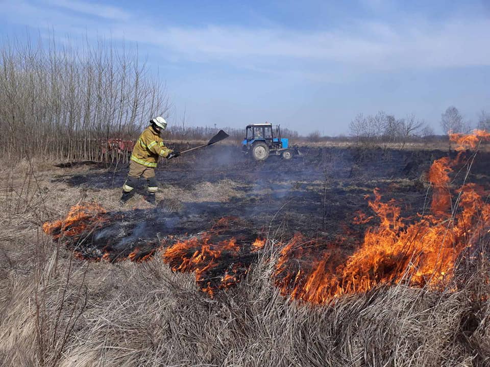 ліквідували