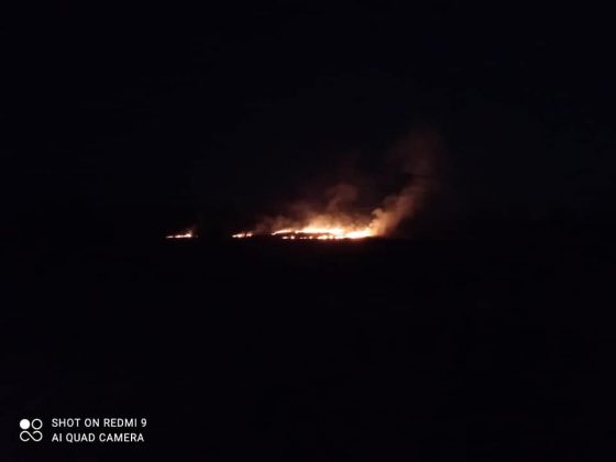 На Калущині масово спалюють суху траву ФОТО