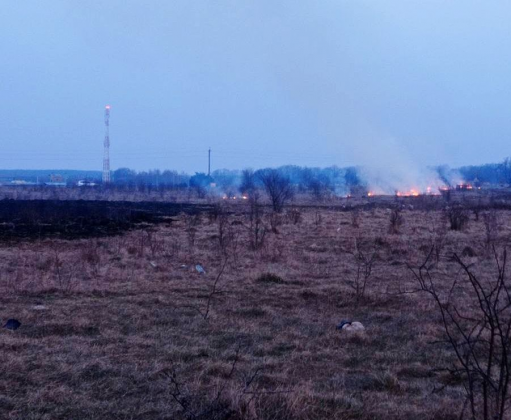 «Порядного» прикарпатського ґазду спіймали на спалюванні сухої трави ФОТО