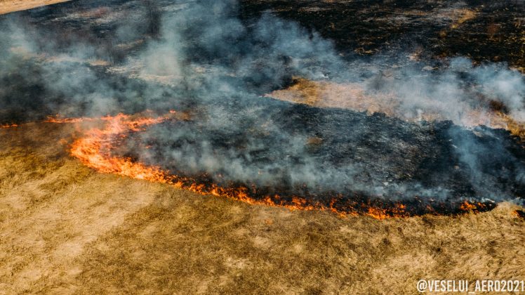 Прикарпаття у вогні: як виглядає «робота паліїв» сухостою з висоти ФОТО
