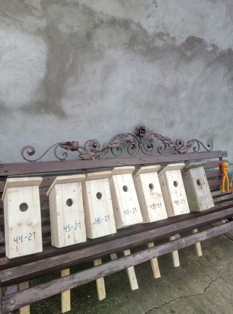 Прикарпатські лісники облаштовують будиночки для птахів ФОТО