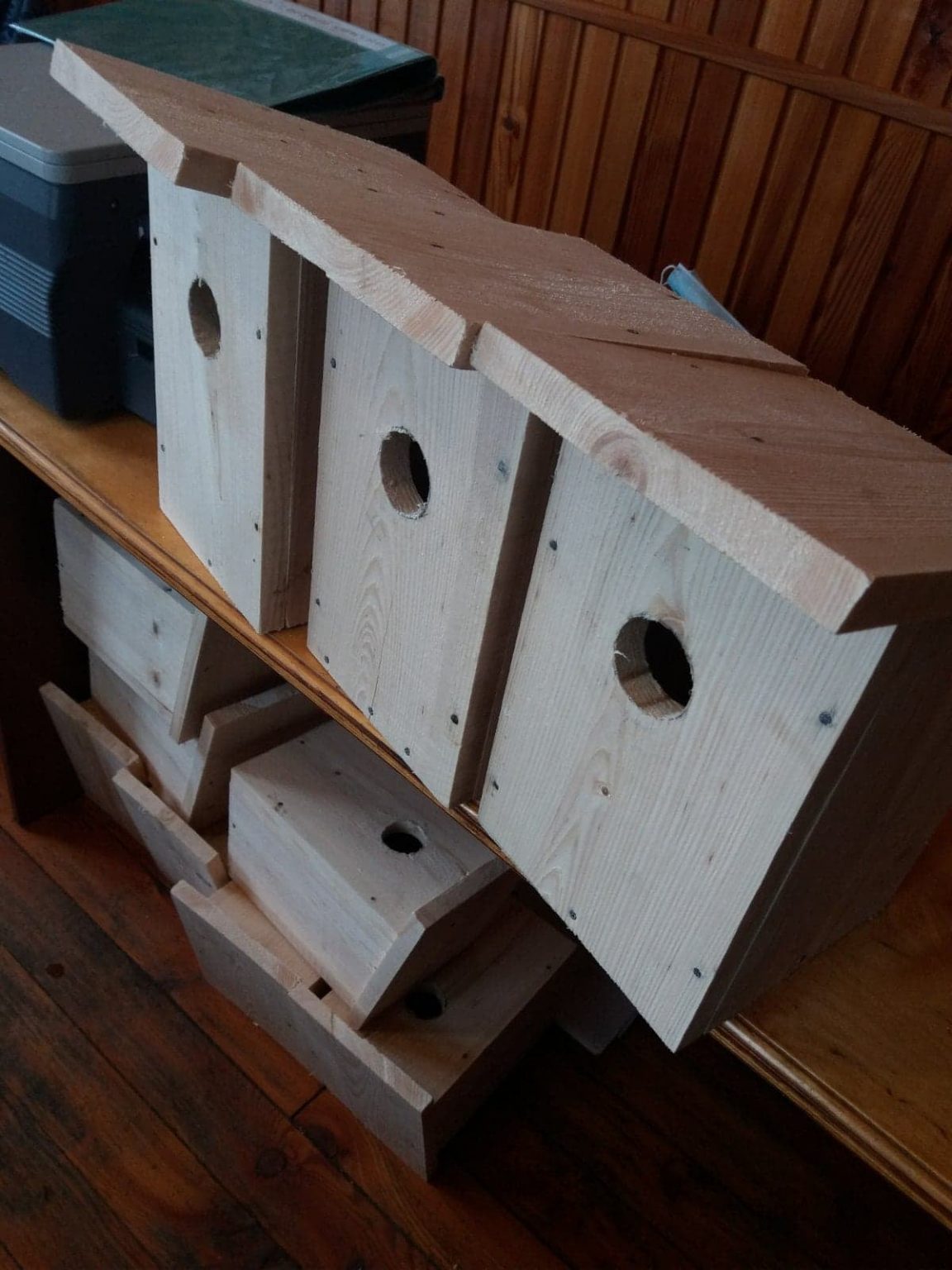 Прикарпатські лісники облаштовують будиночки для птахів