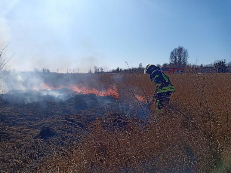 З першими весняними променями, прикарпатці знову почали підпалювати суху траву