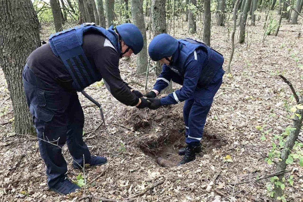 На Франківщині у весняному лісі, люди замість пролісків натрапили на смертоносні знахідки