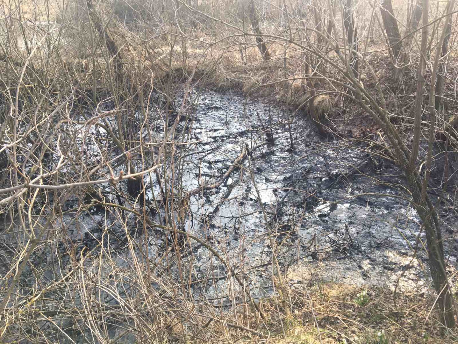 На “Гудвеллі” внаслідок аварійної ситуації відбувся витік гноївки