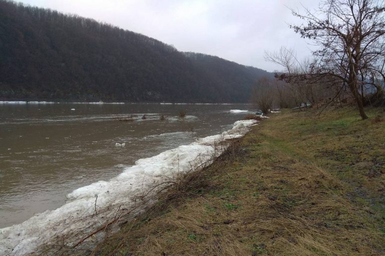 Прикарпатські рятувальники несуть чергування біля водойм області