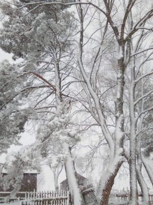 Івано-Франківщину накрив сильний снігопад ФОТОРЕПОРТАЖ